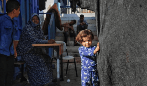 Gaza: Ceasefire Now Let’s Heal the Roots