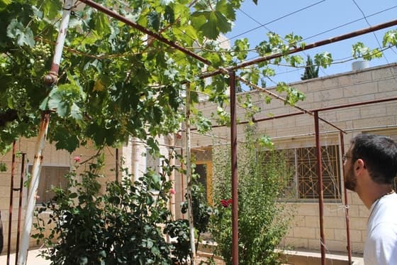 Abre en Belén la «Baby Jesus guest house»