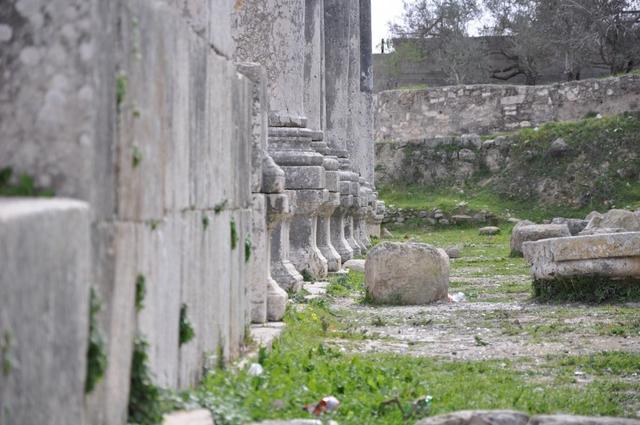 Sebastia nei testi sacri- scopri le origini bibliche del villaggio restaurato e sostenuto grazie a ATS pro Terra Sancta