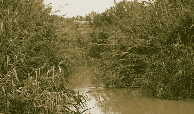 Approfondimenti: lungo il fiume Giordano