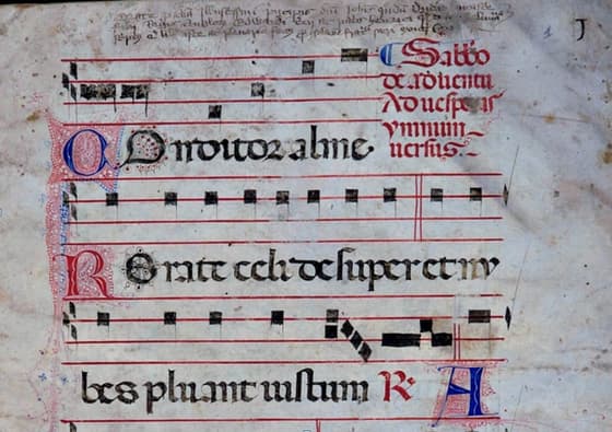 Bollettino dal Museo Archeologico: le news di ottobre