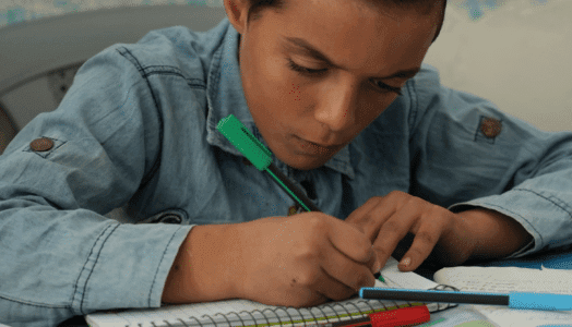 Aleppo. Il quaderno di Mohammad