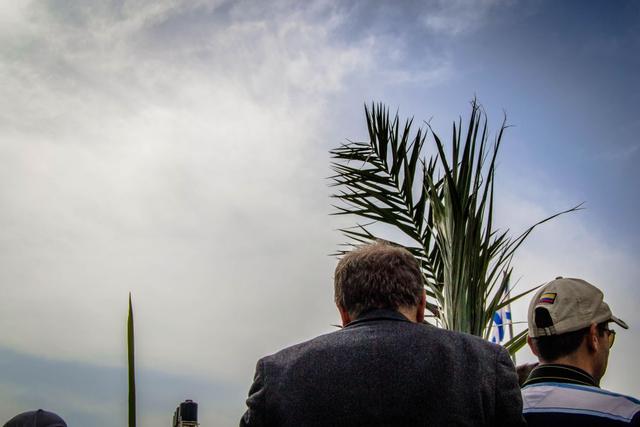 Profundación: El Domingo de Ramos con los ojos de un peregrino
