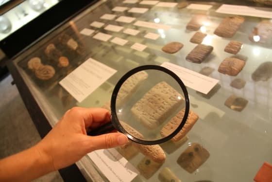 Boletín del Museo Arqueológico: noticias de noviembre y diciembre