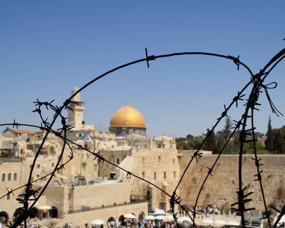 Help us build peace in the Holy Land!