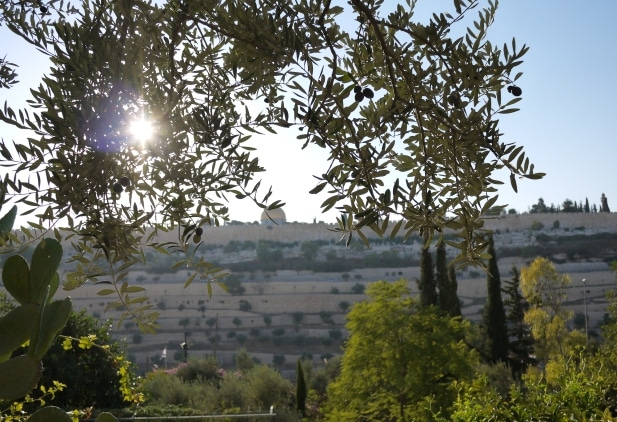 panorama Gerusalemme