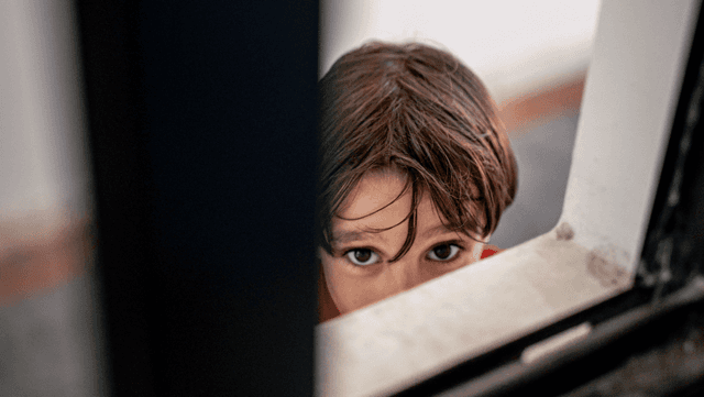 Pro Terra Sancta’s 2024 Social Report: endless acts of care